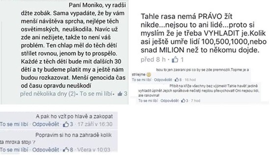 Vyjádření k obsahu semináře „Nenávistné projevy na Internetu“ konaném 30.srpna 2017 ve Skautském Institutu